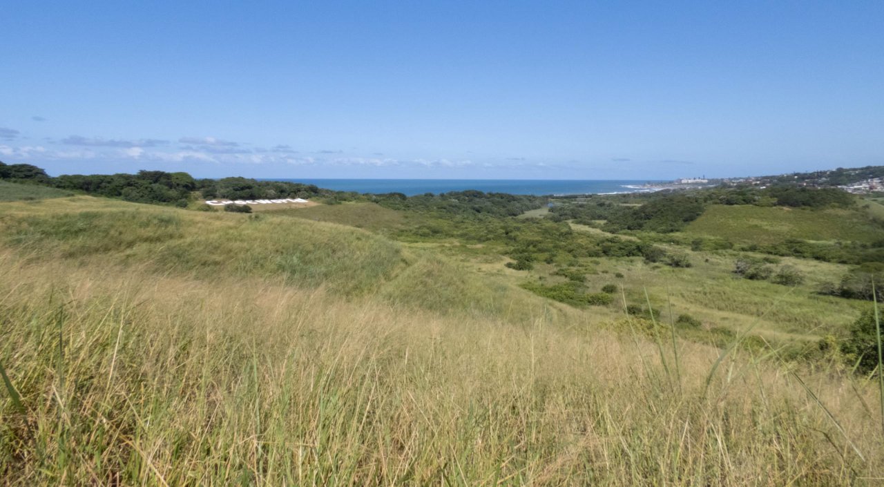 Croc World Trail Run