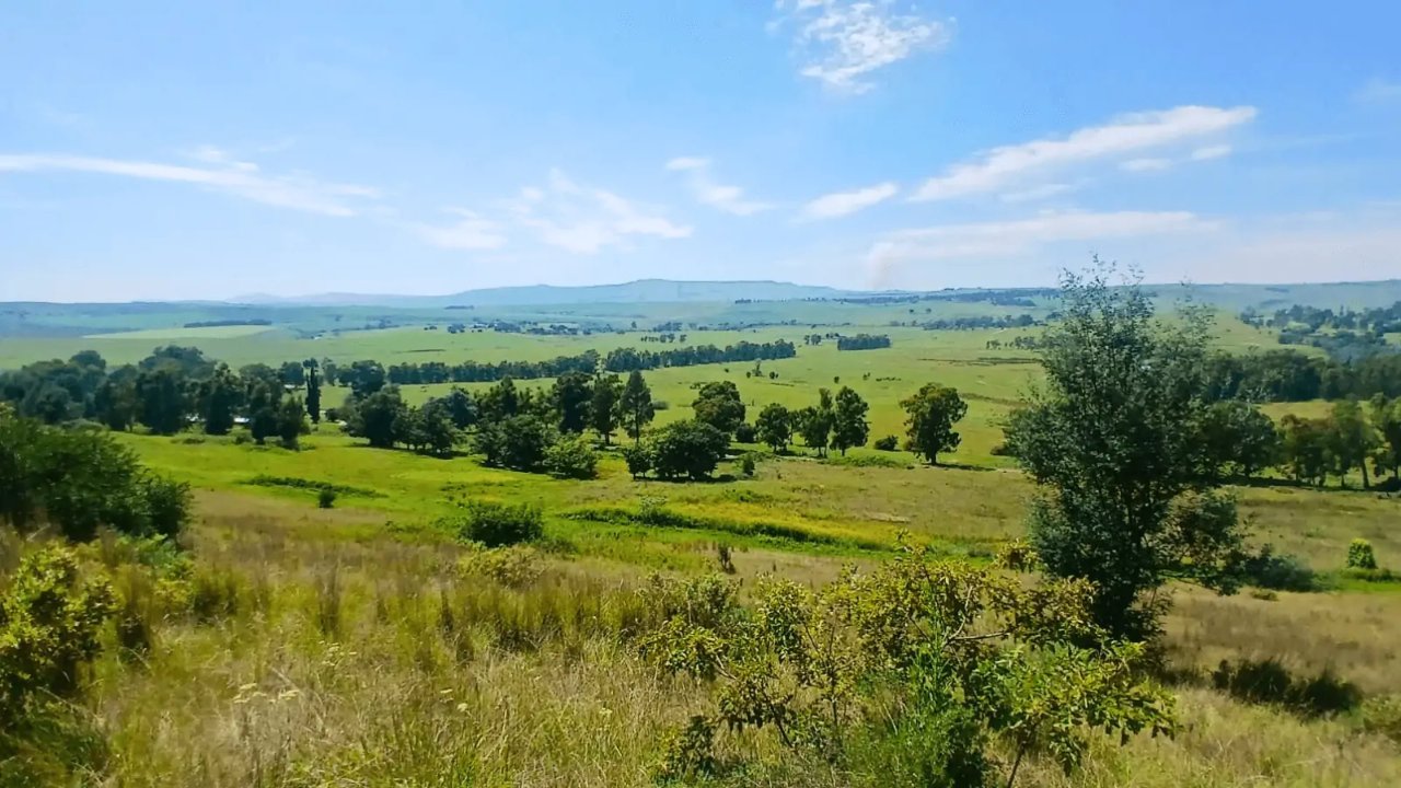 Treverton College Trail Run