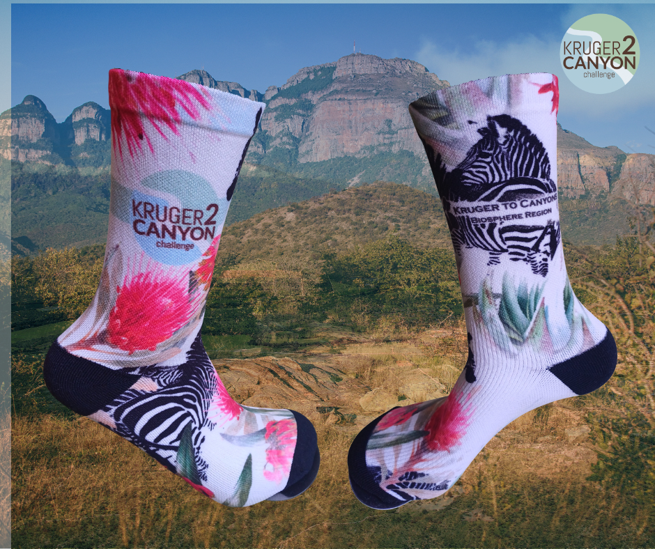 K2C 2026 Socks